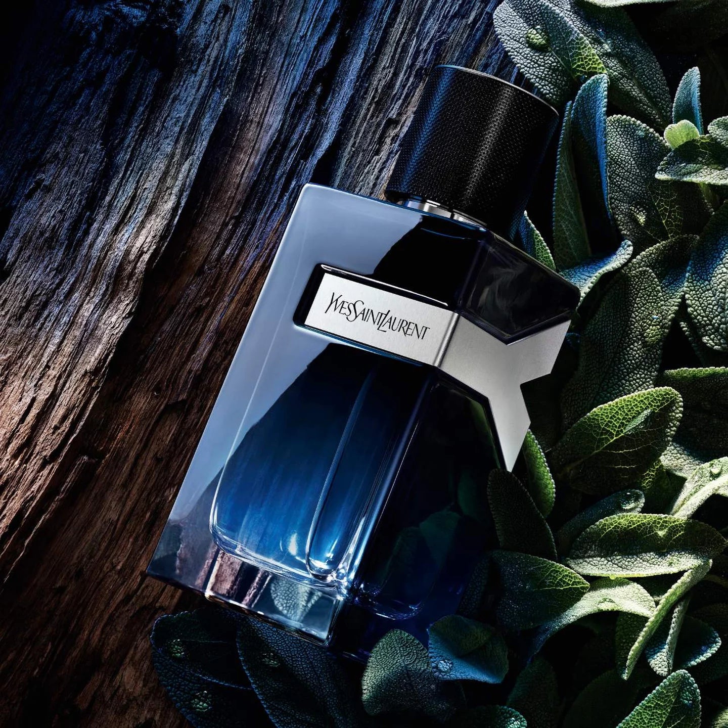Yves Saint Laurent Y Eau De Parfum (3.3oz/100mL)